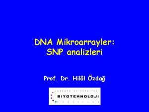 DNA Mikroarrayler SNP analizleri Prof Dr Hill zda