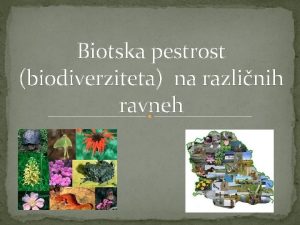 Biotska pestrost biodiverziteta na razlinih ravneh BIODIVERZITETA Od