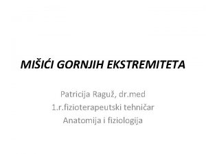 MIII GORNJIH EKSTREMITETA Patricija Ragu dr med 1