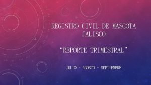 REGISTRO CIVIL DE MASCOTA JALISCO REPORTE TRIMESTRAL JULIO