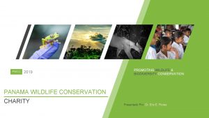 PWCC 2019 PROMOTING WILDLIFE BIODIVERSITY CONSERVATION PANAMA WILDLIFE