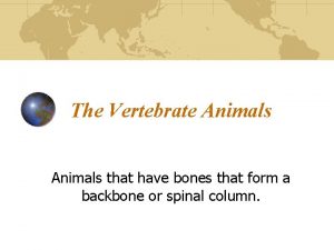 The Vertebrate Animals that have bones that form