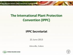 The International Plant Protection Convention IPPC IPPC Secretariat