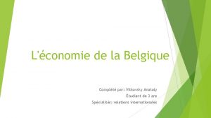 Lconomie de la Belgique Complt par Vitkovsky Anatoly