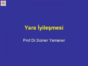 Yara yilemesi Prof Dr Smer Yamaner Kkenler CERH