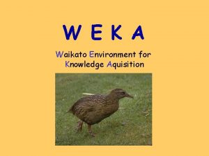 W E K A Waikato Environment for Knowledge