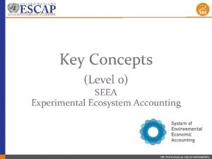 Key Concepts Level 0 SEEA Experimental Ecosystem Accounting