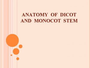 ANATOMY OF DICOT AND MONOCOT STEM PARTS OF