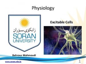 Physiology Excitable Cells Behrouz Mahmoudi www soran edu