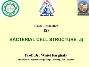 BACTERIOLOGY 2 BACTERIAL CELL STRUCTURE a Prof Dr