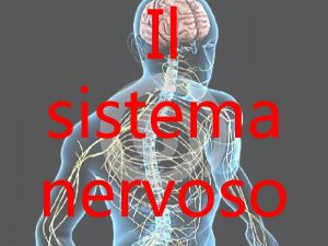 Il sistema nervoso DEFINIZIONE e FUNZIONE Il SISTEMA