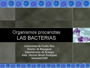 Organismos procariotas LAS BACTERIAS Universidad de Puerto Rico