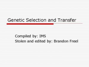 Genetic Selection and Transfer Compiled by IMS Stolen