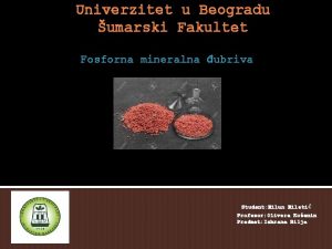 Univerzitet u Beogradu umarski Fakultet Fosforna mineralna ubriva