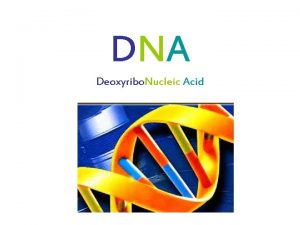 DNA Deoxyribo Nucleic Acid What can DNA do