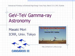 International Workshop on Extremely High Energy Cosmic Rays