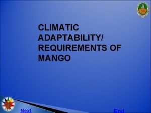 CLIMATIC ADAPTABILITY REQUIREMENTS OF MANGO Next Mango grows