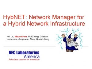 Hyb NET Network Manager for a Hybrid Network