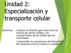 Unidad 2 Especializacin y transporte celular Objetivos Explicar