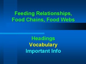 Feeding Relationships Food Chains Food Webs Headings Vocabulary