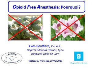 Opioid Free Anesthesia Pourquoi Yves Bouffard P H