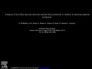 Analysis of bull Bos taurus seminal vesicle fluid