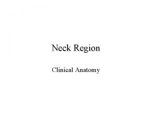 Neck Region Clinical Anatomy Neck Topic Objectives Be