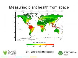 Measuring plant health from space SIF Solar induced