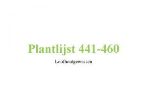 Plantlijst 441 460 Loofhoutgewassen Bron herkenning van loofhoutgewassen