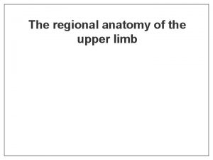 The regional anatomy of the upper limb palma