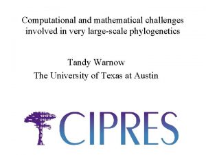 Computational and mathematical challenges involved in very largescale