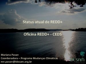 Status atual de REDD Oficina REDD CEDS Mariana