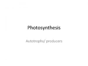 Photosynthesis Autotrophs producers Why Energy the ability to