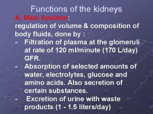 Functions of the kidneys A Main function regulation