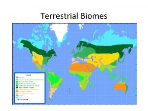 Terrestrial Biomes What is a biome Prentice Hall