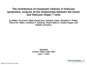 The architecture of neoplastic follicles in follicular lymphoma