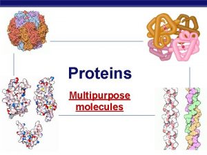 Proteins Multipurpose molecules AP Biology 2008 2009 Proteins