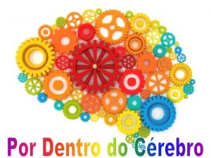 O Crebro pelo neurocirurgio Paulo Niemeyer Filho Pergunta