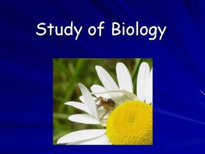 Study of Biology What is Biology Biology is