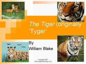 The Tiger originally Tyger By William Blake Copyright