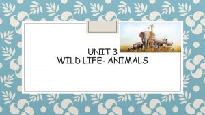 UNIT 3 WILD LIFE ANIMALS Dragi uenici asovi