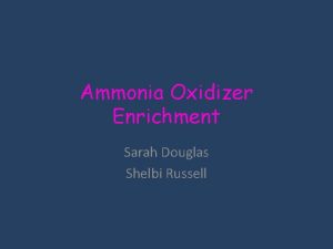 Ammonia Oxidizer Enrichment Sarah Douglas Shelbi Russell Ammonia