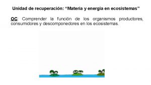 Unidad de recuperacin Materia y energa en ecosistemas