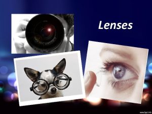 Lenses Types of Lenses Principal Focus Ray Diagrams