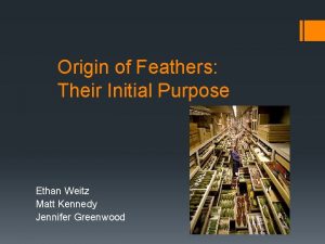 Origin of Feathers Their Initial Purpose Ethan Weitz