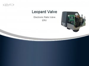 Leopard Valve Electronic Ratio Valve ERV Leopard valve