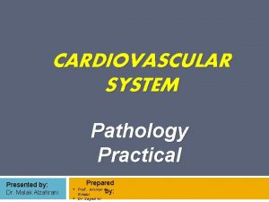 CARDIOVASCULAR SYSTEM Pathology Practical Presented by Dr Malak