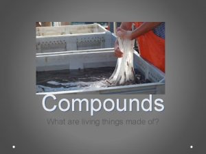 Organic Compounds What are living things made of