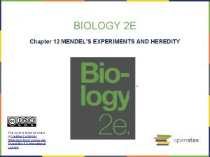 BIOLOGY 2 E Chapter 12 MENDELS EXPERIMENTS AND