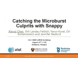 Catching the Microburst Culprits with Snappy Xiaoqi Chen